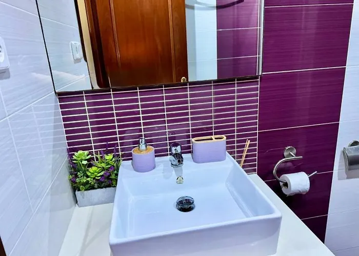 公寓 Apartsalou Oasis 萨洛